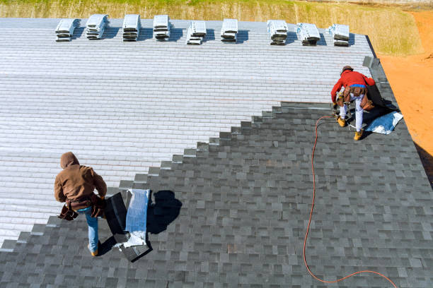 Best Roof Gutter Cleaning  in Elmwood, LA